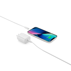 20W USB-C Wall Charger with Lightning to USB-C Cable - 1.2m