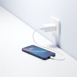 20W Wall Charger with 1.2m Lightning to USB-C Cable - Cygnett (AU)